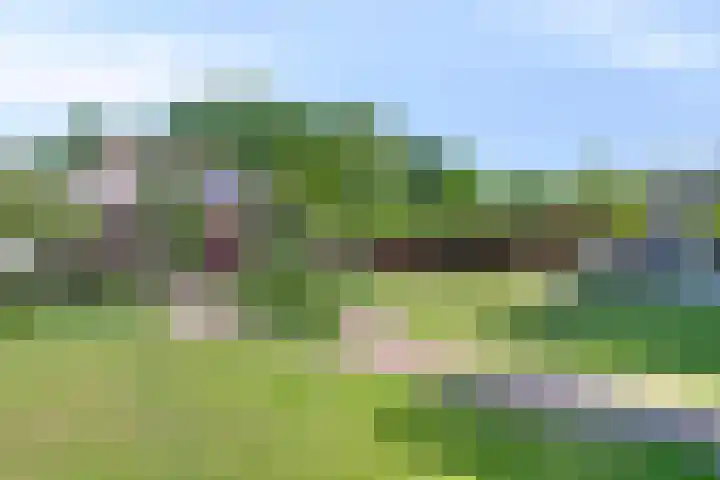 Merseloseweg 21 Overloon thumbnail 9