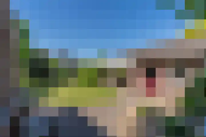 Merseloseweg 4 Overloon thumbnail 12