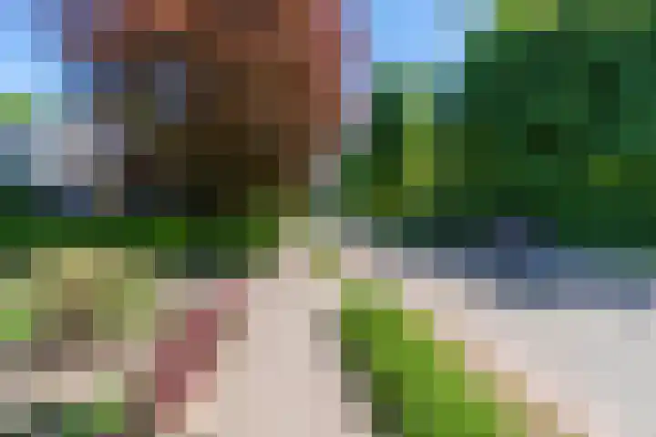Merseloseweg 4 Overloon thumbnail 6