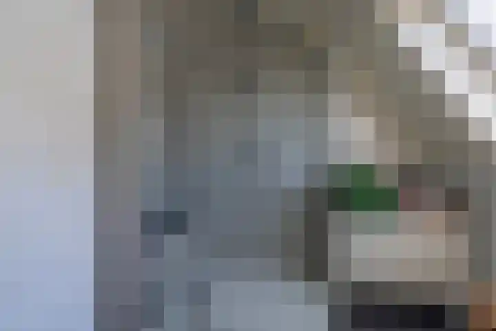 Merseloseweg 4 Overloon thumbnail 69