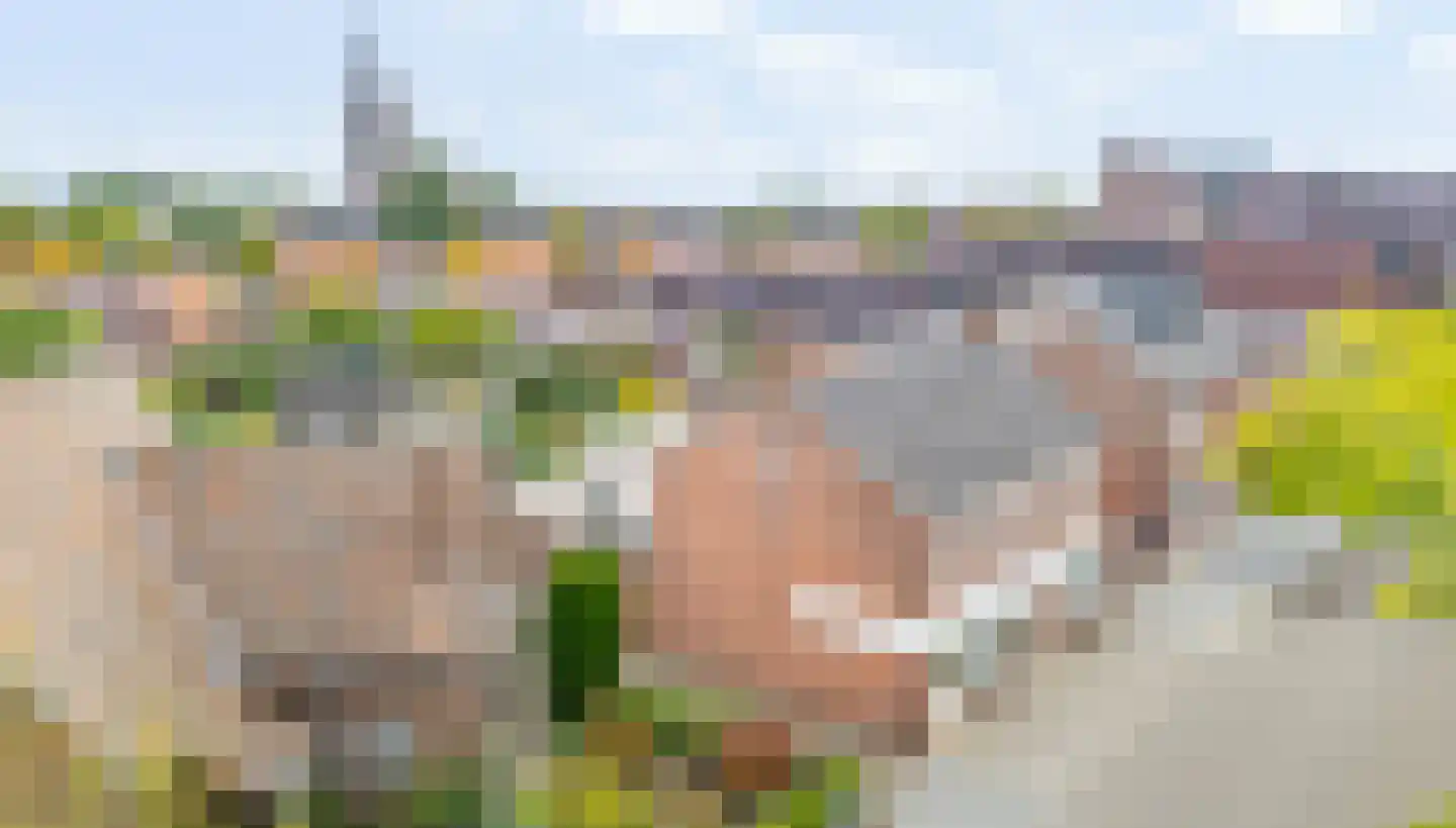 Merseloseweg 78 Venray thumbnail 4