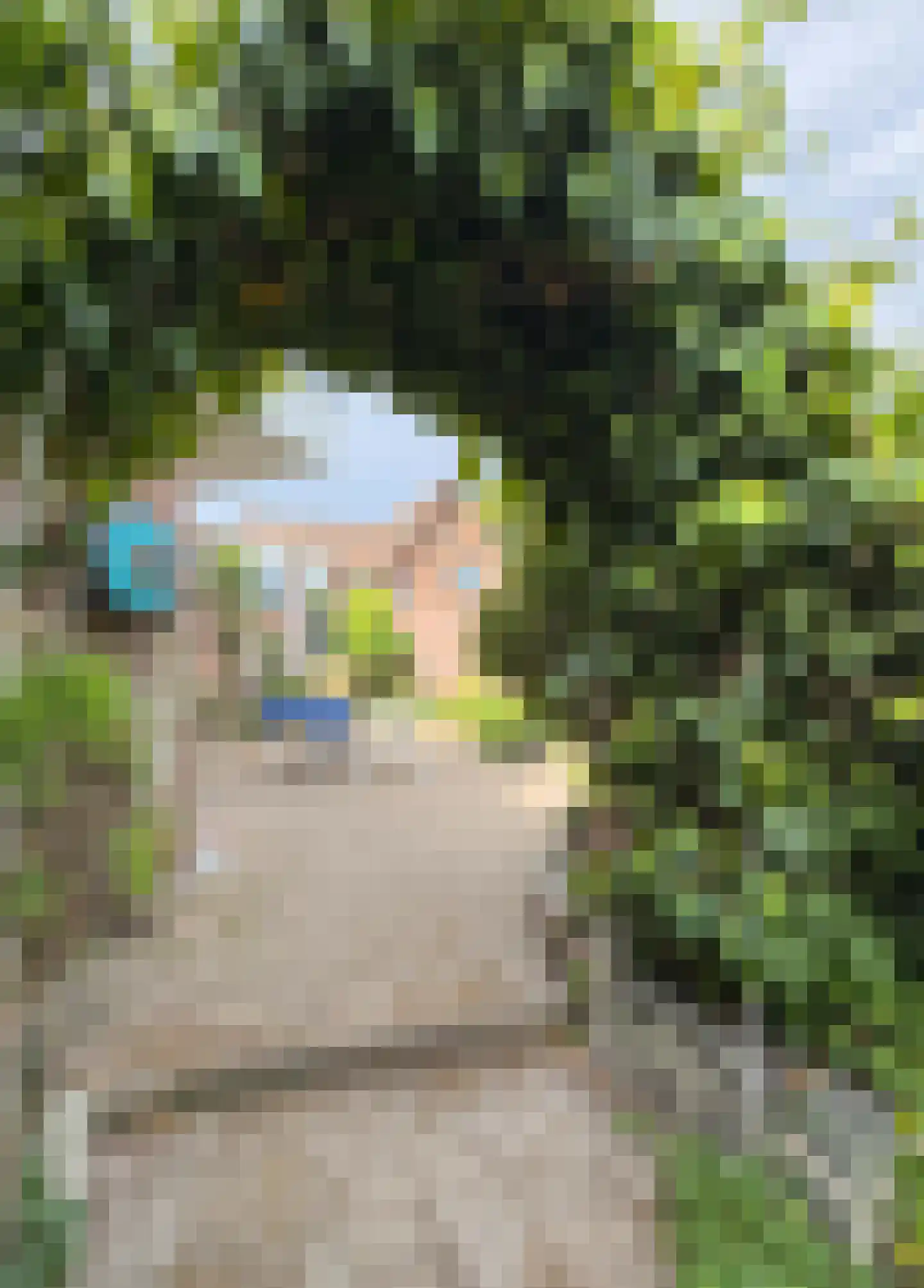 Merseloseweg 78 Venray thumbnail 43
