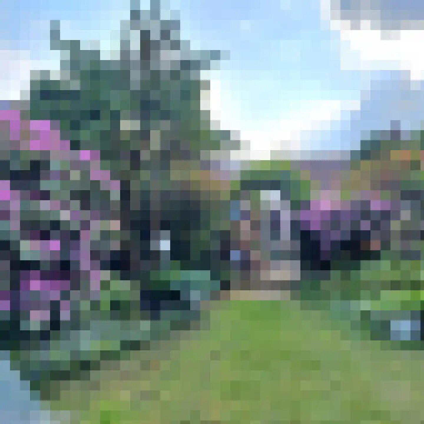 Merseloseweg 78 Venray thumbnail 46