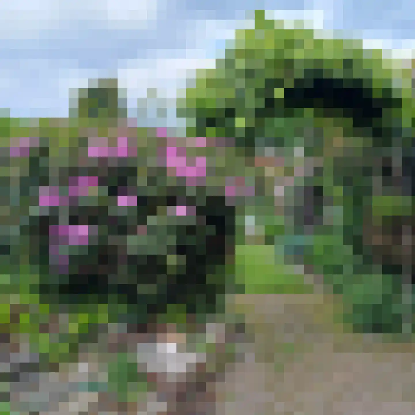 Merseloseweg 78 Venray thumbnail 47