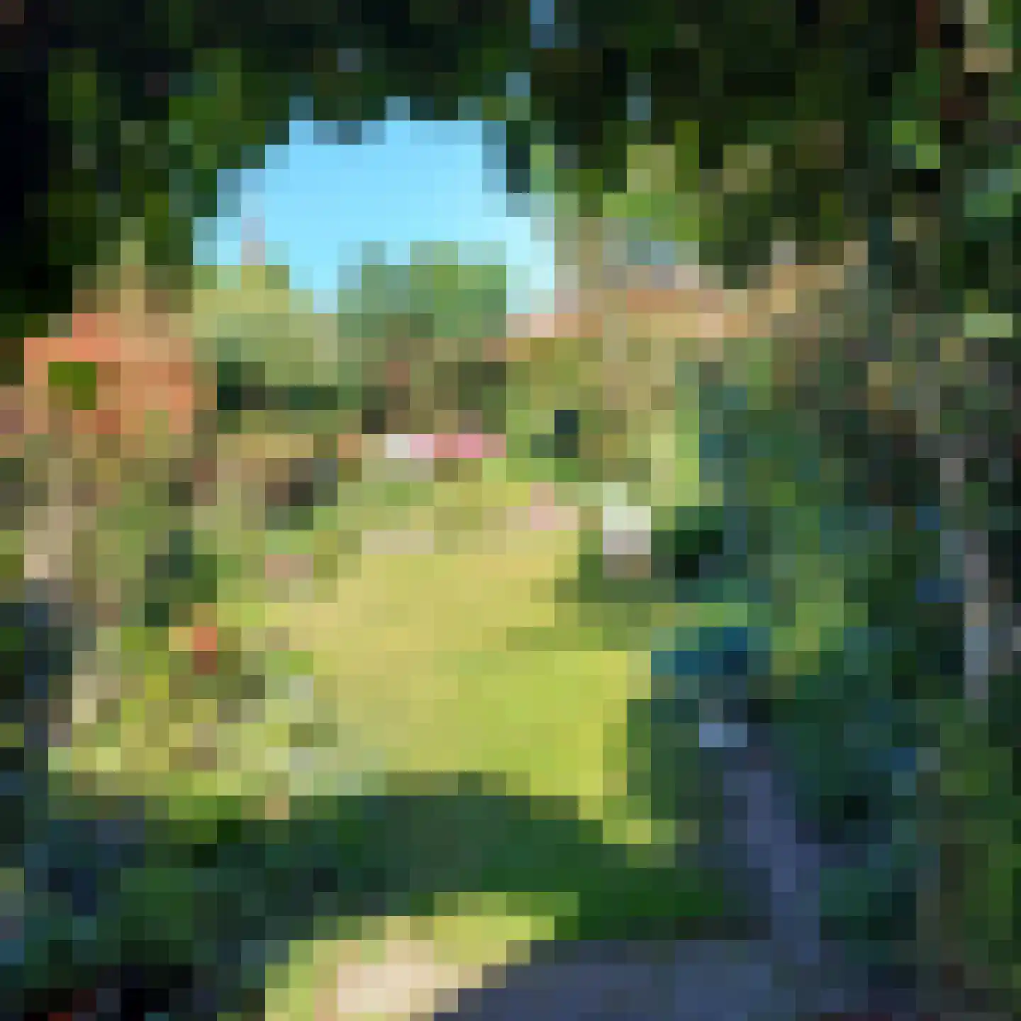 Merseloseweg 78 Venray thumbnail 48