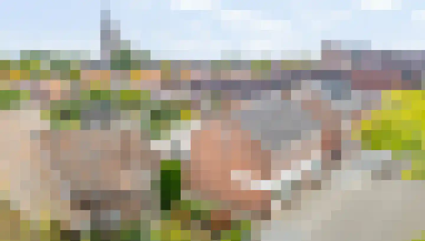 Merseloseweg 78 Venray thumbnail 52