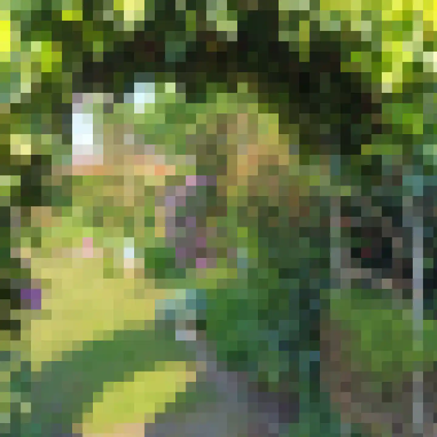 Merseloseweg 78 Venray thumbnail 6