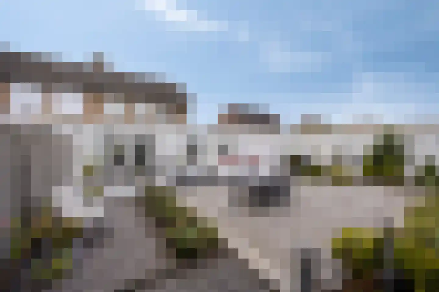 Merseloseweg 88 Venray thumbnail 4