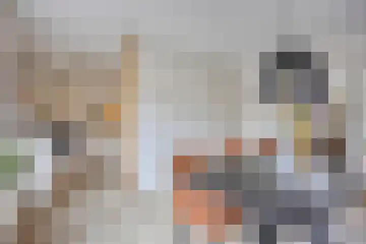 Mertenshof 2 Weerselo thumbnail 11