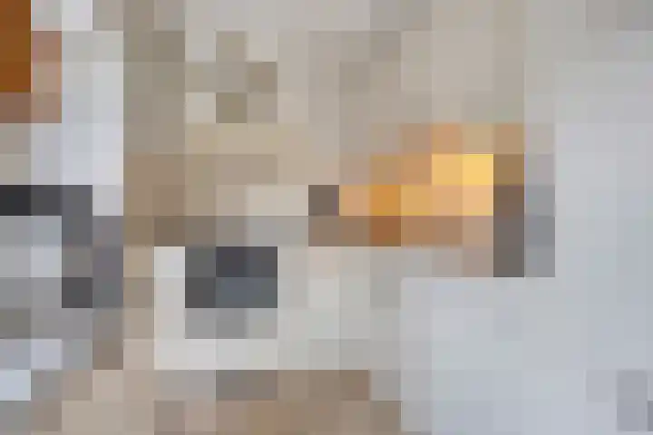 Mertenshof 2 Weerselo thumbnail 12