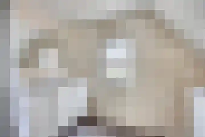 Mertenshof 2 Weerselo thumbnail 21