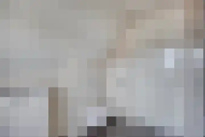 Mertenshof 2 Weerselo thumbnail 22