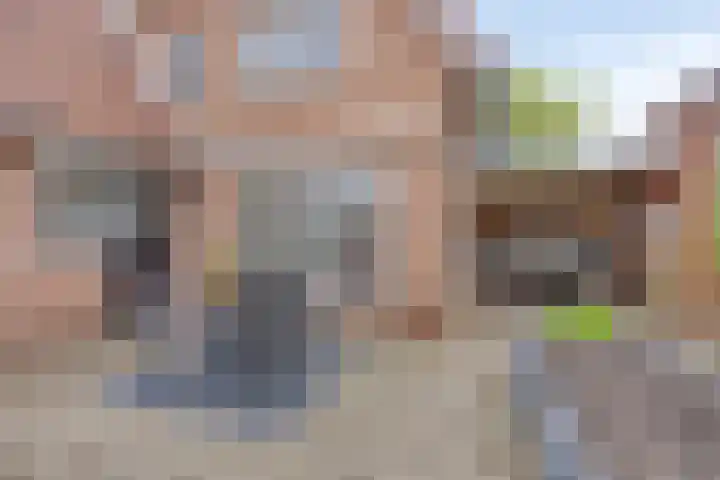 Mertenshof 2 Weerselo thumbnail 29