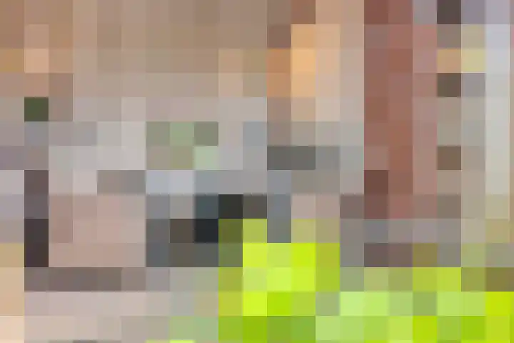 Mertenshof 2 Weerselo thumbnail 30