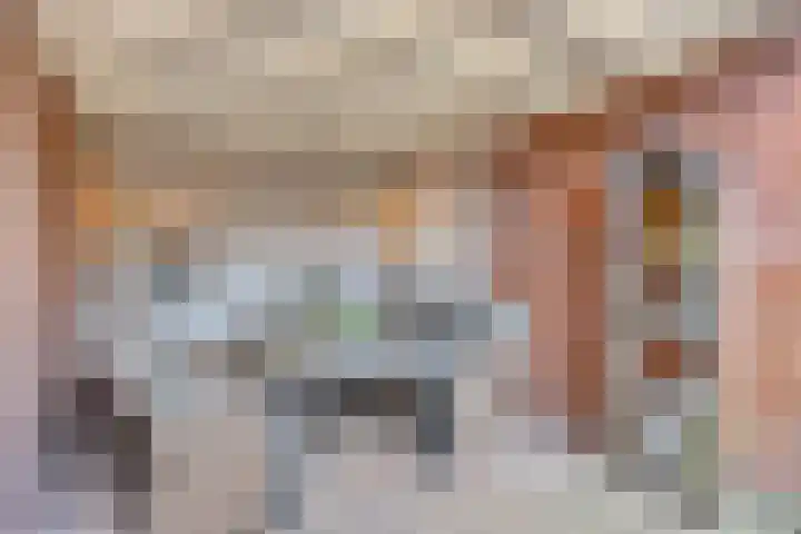 Mertenshof 2 Weerselo thumbnail 31