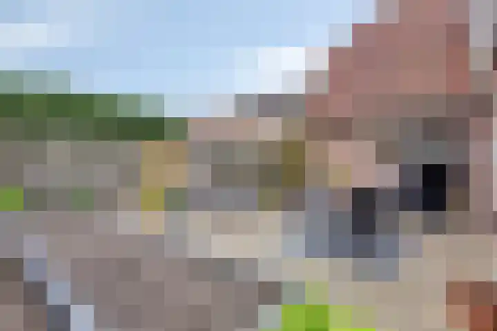 Mertenshof 2 Weerselo thumbnail 33