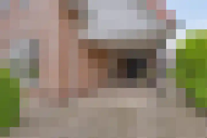 Mertenshof 2 Weerselo thumbnail 36