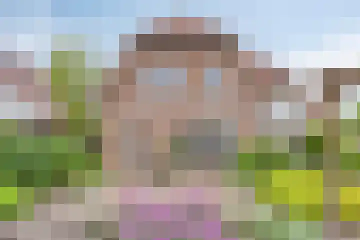 Mertenshof 2 Weerselo thumbnail 37