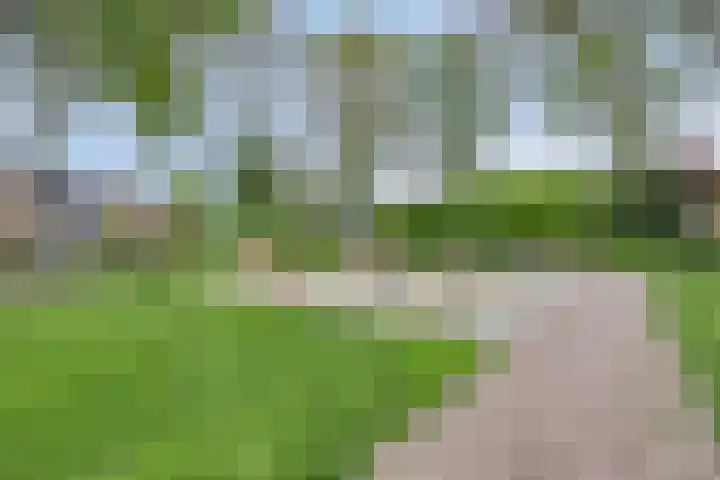 Mertenshof 2 Weerselo thumbnail 40