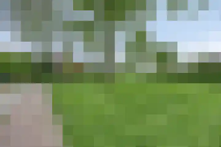 Mertenshof 2 Weerselo thumbnail 41