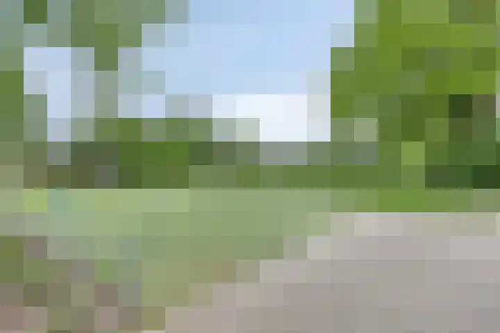 Mertenshof 2 Weerselo thumbnail 42
