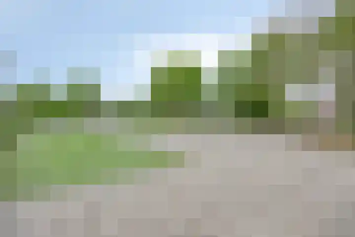 Mertenshof 2 Weerselo thumbnail 43