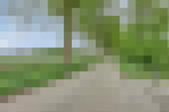 Mertenshof 2 Weerselo thumbnail 44