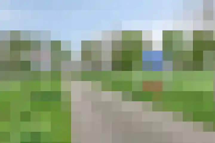 Mertenshof 2 Weerselo thumbnail 46
