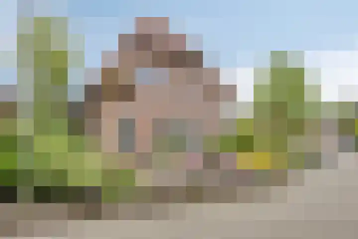 Mertenshof 2 Weerselo thumbnail 50