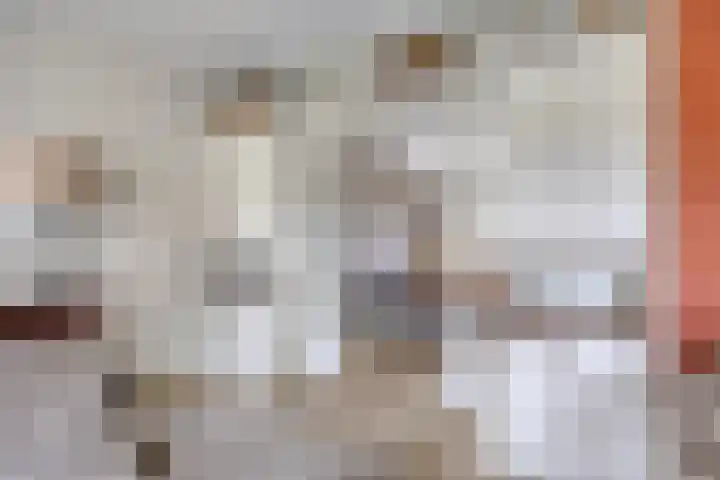 Mertenshof 2 Weerselo thumbnail 7