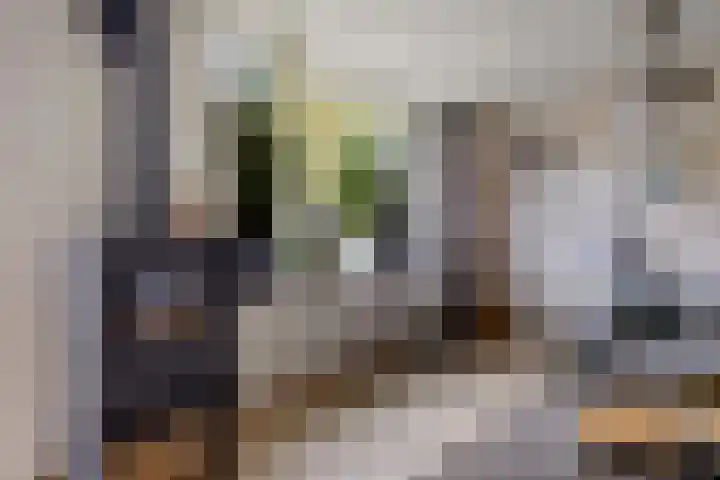 Mertenshof 3 Weerselo thumbnail 10
