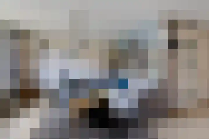 Mertenshof 3 Weerselo thumbnail 11