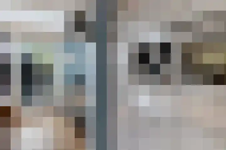 Mertenshof 3 Weerselo thumbnail 16