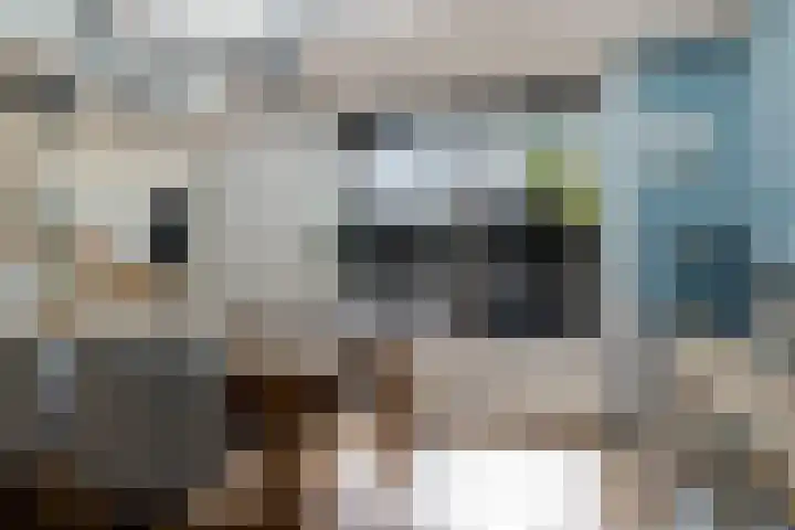 Mertenshof 3 Weerselo thumbnail 20