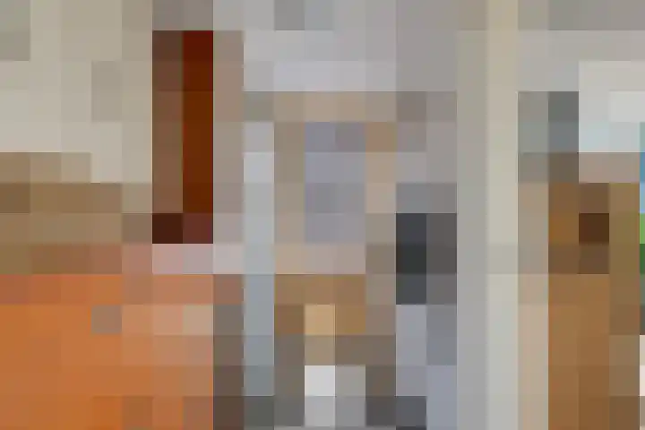 Mertenshof 3 Weerselo thumbnail 25