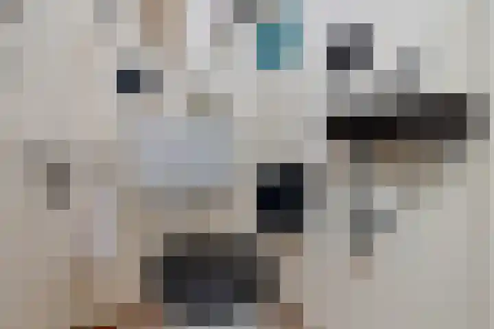 Mertenshof 3 Weerselo thumbnail 26