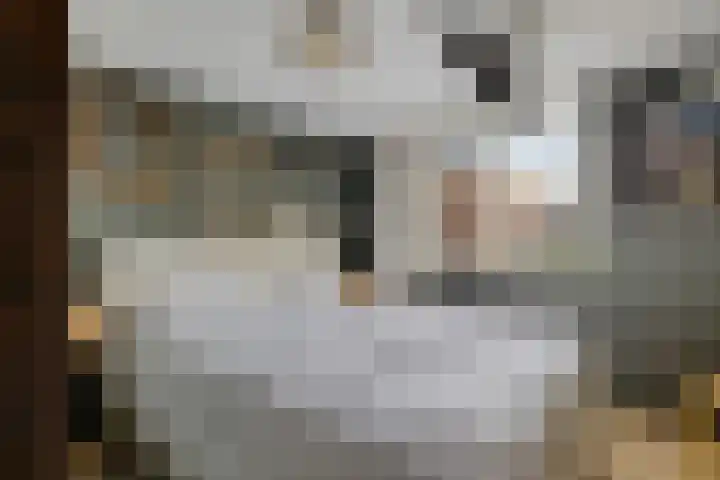 Mertenshof 3 Weerselo thumbnail 30
