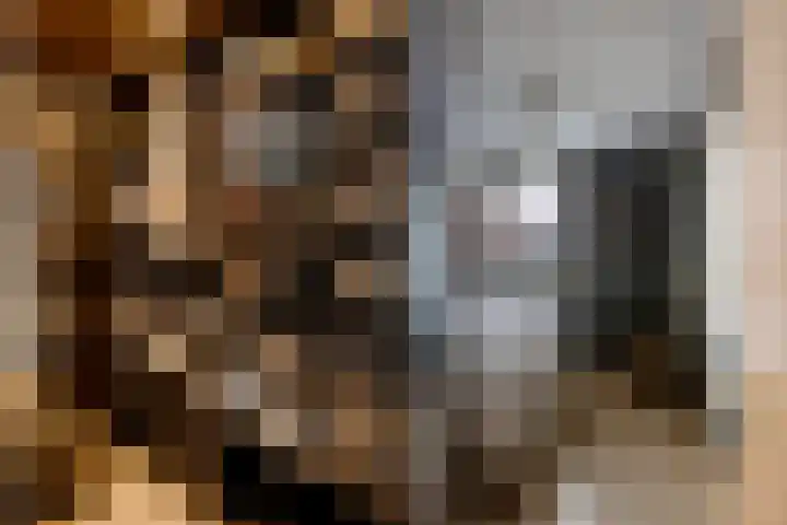 Mertenshof 3 Weerselo thumbnail 32