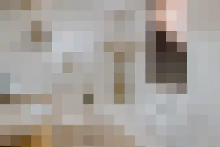 Mertenshof 3 Weerselo thumbnail 33