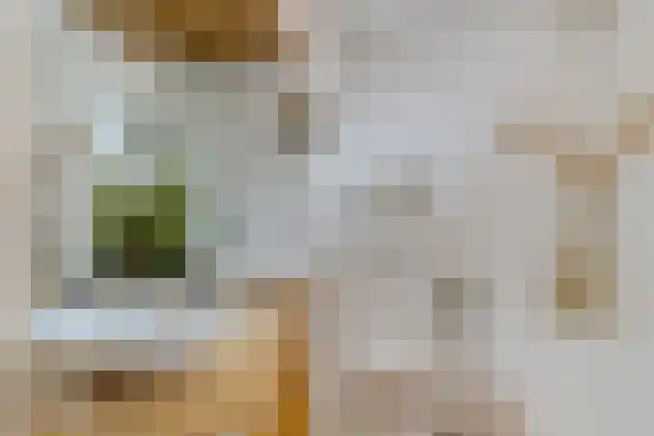 Mertenshof 3 Weerselo thumbnail 34