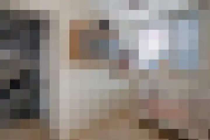 Mertenshof 3 Weerselo thumbnail 36