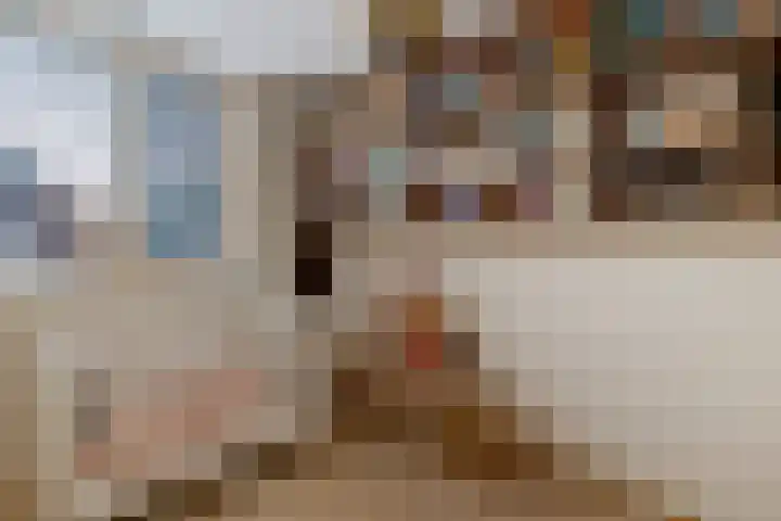 Mertenshof 3 Weerselo thumbnail 37