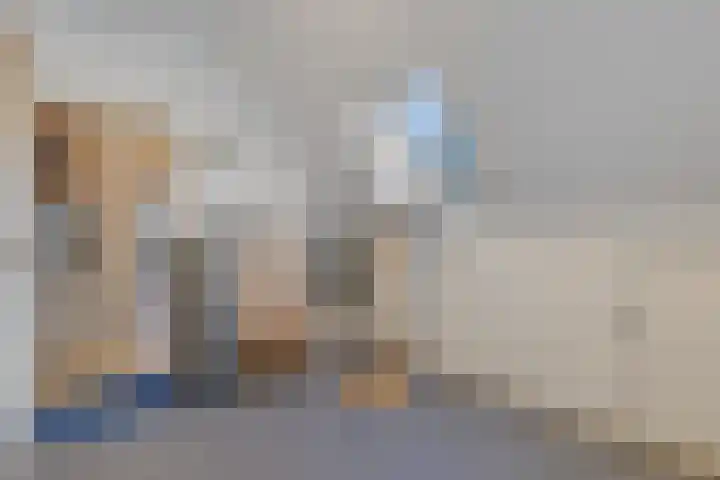 Mertenshof 3 Weerselo thumbnail 42