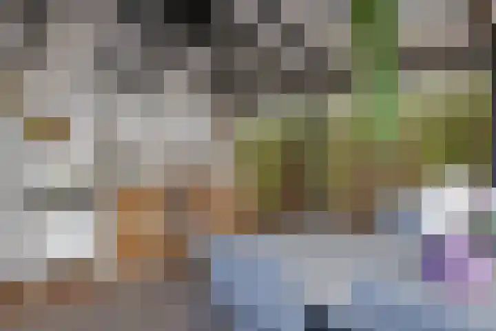 Mertenshof 3 Weerselo thumbnail 51