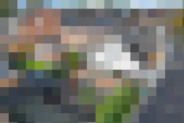 Mertenshof 3 Weerselo thumbnail 52