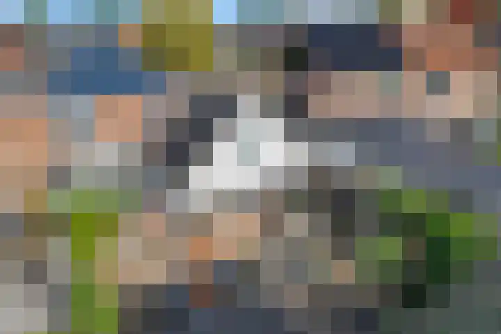 Mertenshof 3 Weerselo thumbnail 53