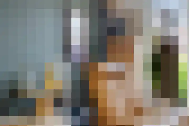 Mertenshof 3 Weerselo thumbnail 9