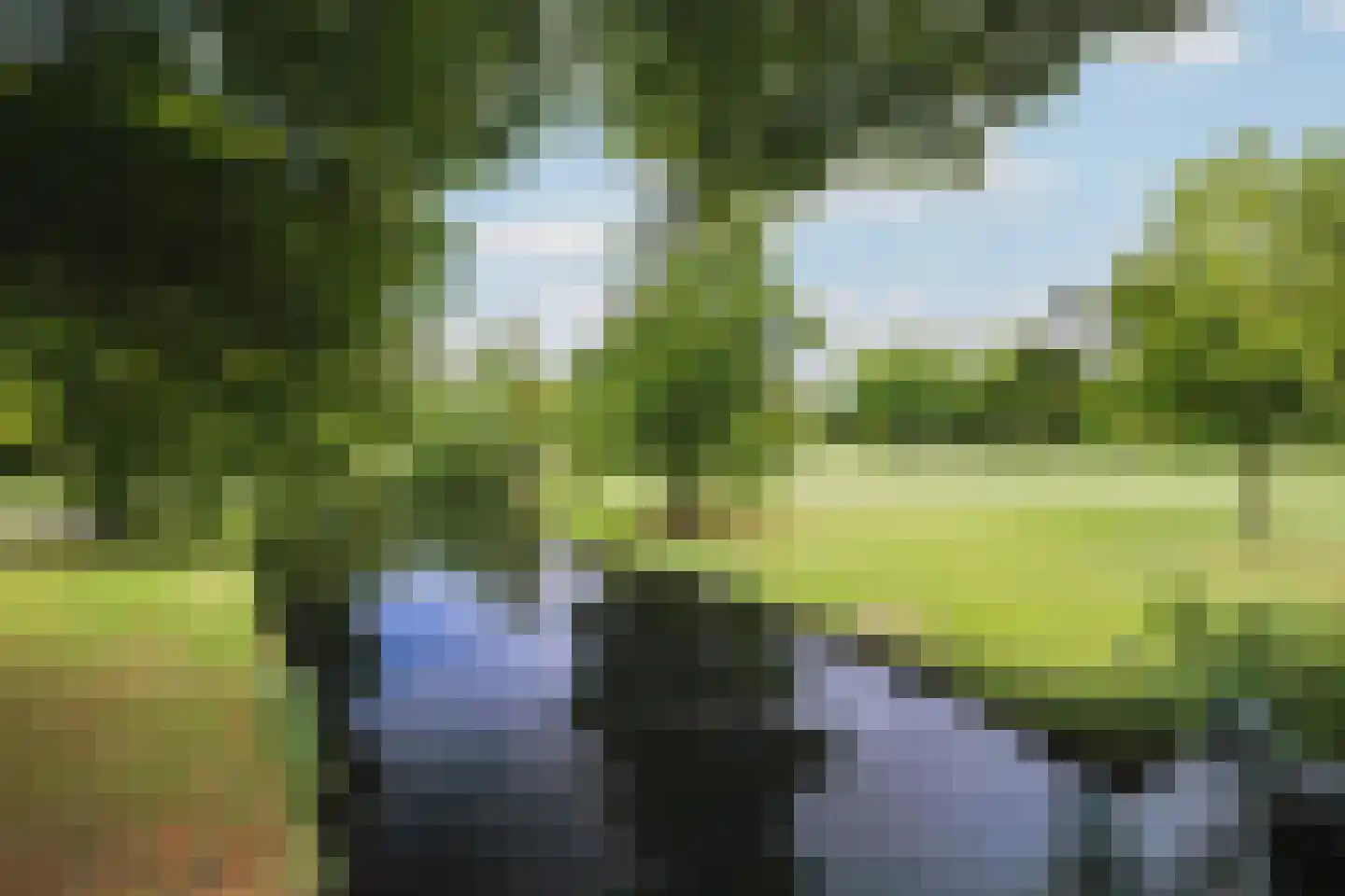 Merulaweg 1 J Rotterdam thumbnail 31