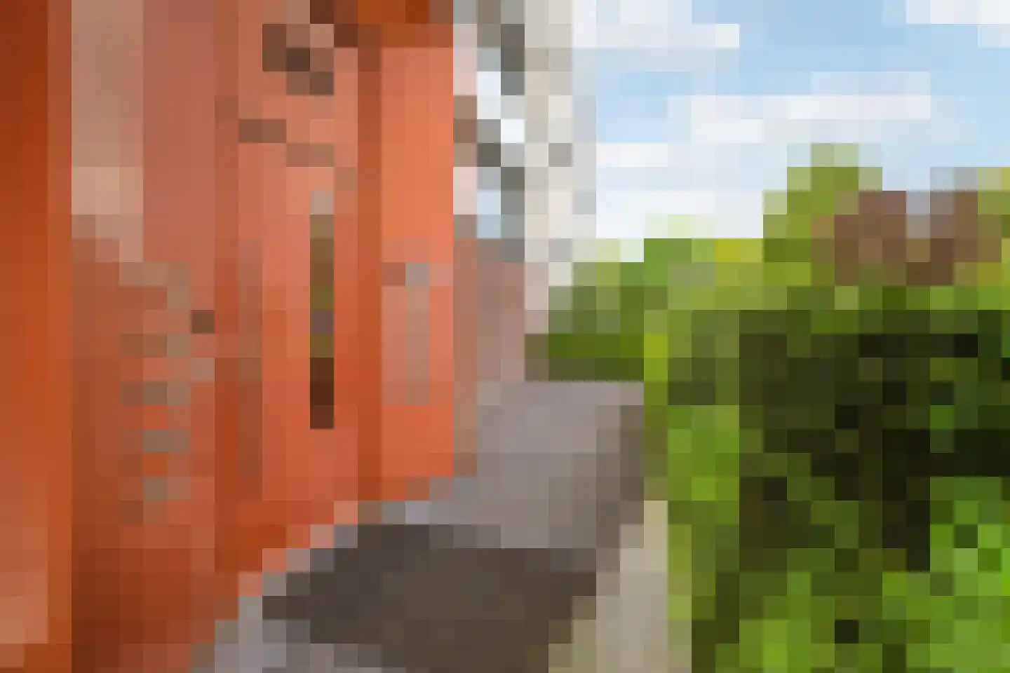 Merulaweg 1 J Rotterdam thumbnail 5