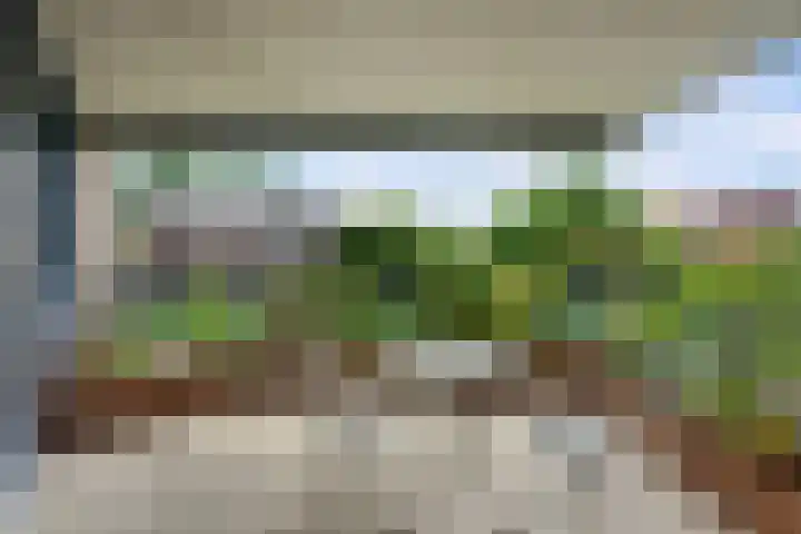 Merulaweg 1 L Rotterdam thumbnail 14